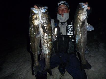 56_seabass-2.JPG