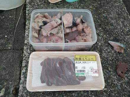 IMGP0992_bait.JPG