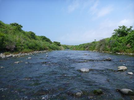 P1000047_seiryuu.JPG