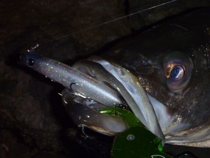 P1000163_04.jpg