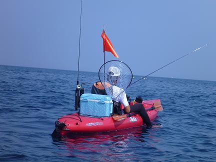 P1000271_nimo.JPG