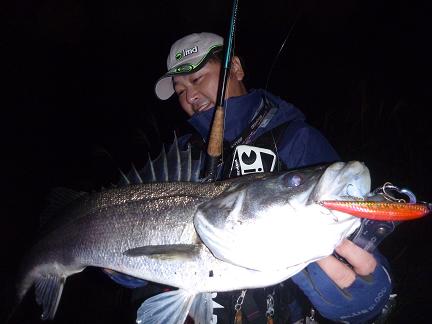 P1000497_gaku.JPG