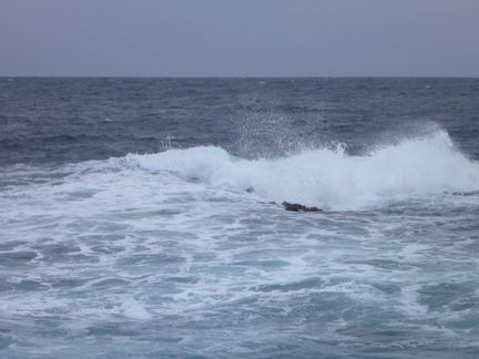 P1000776_sarashi.jpg