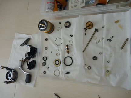 P1000803_barashi.jpg