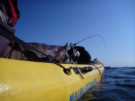 P1000808_malib.jpg