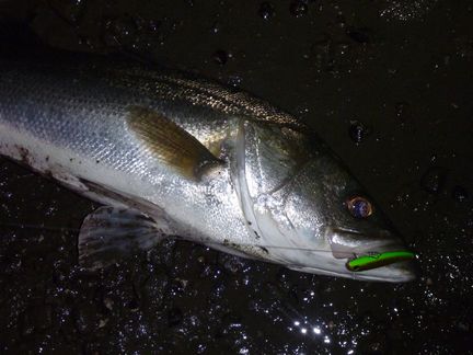 P1000827_000.jpg