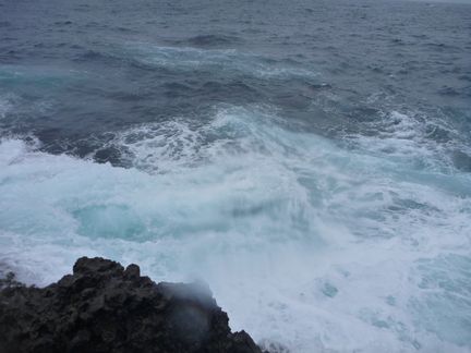 P1000901_01.jpg