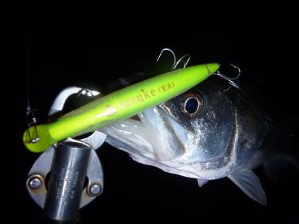 P1010364_211-4.JPG