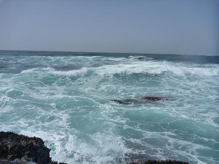 P1010401_day3.JPG