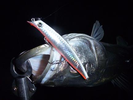 P1010423_24-2.JPG