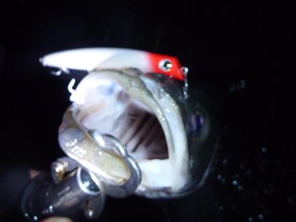 P1010432_24-4.JPG