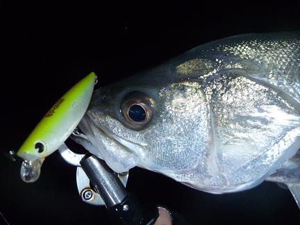 P1010447_24-6.JPG