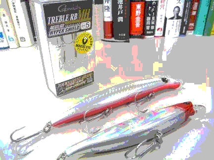 P1010520_00.JPG