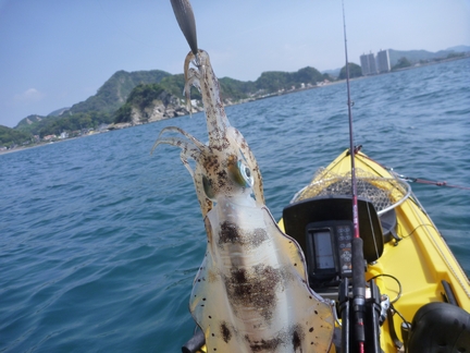 P1010912_aori.jpg