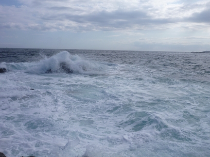 P1010927_sarashi-1.jpg