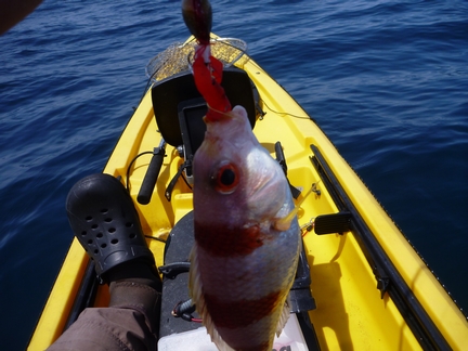 P1010957_kumomi-4.jpg