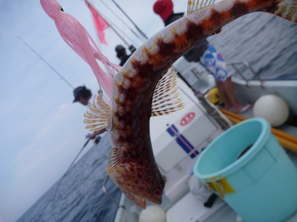 P1020029_mikura16.jpg