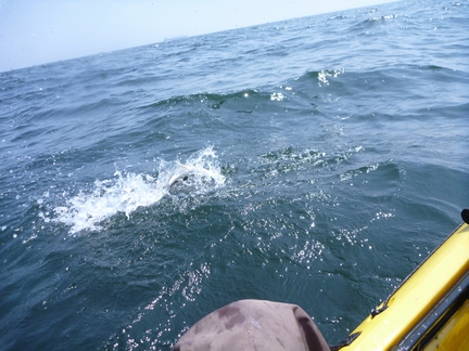 P1020042_eraarai.jpg
