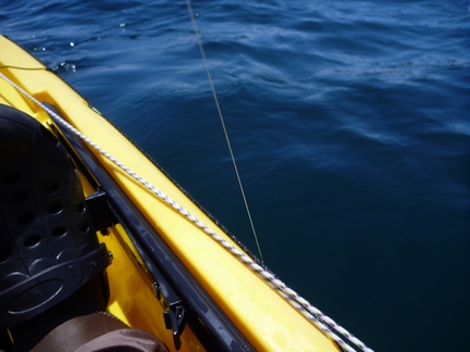 P1020096_tako1.jpg