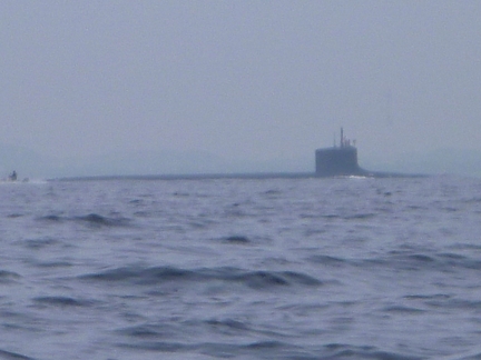 P1020116.JPG