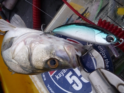 P1020124_RUNDAMt.jpg