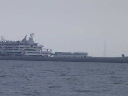 P1020188_skytree.jpg