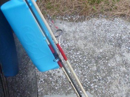 P1020207_er.jpg