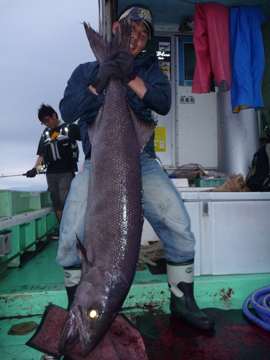 P1020220_bara-1.jpg