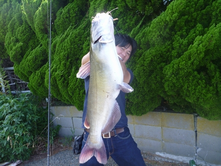 P1020404_08_gyokusaihugu.jpg