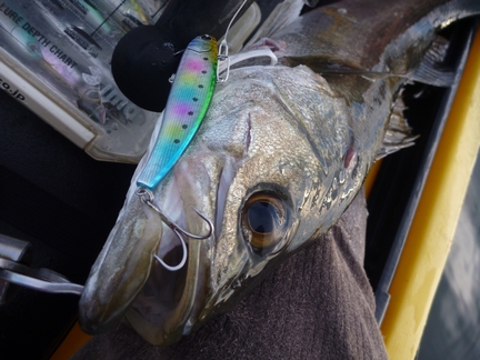 P1020483_01.jpg
