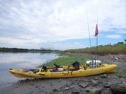 P1020566_ob-01.jpg