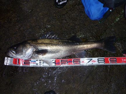 P1020933_05.jpg