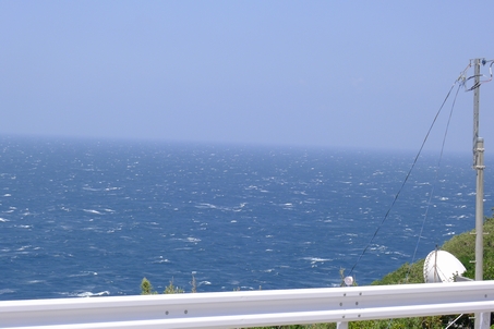 P1030082_mikura02.jpg