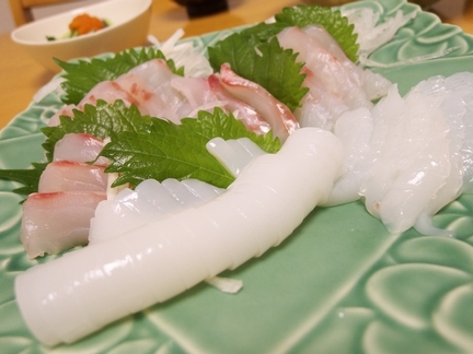 P1030446_05.jpg