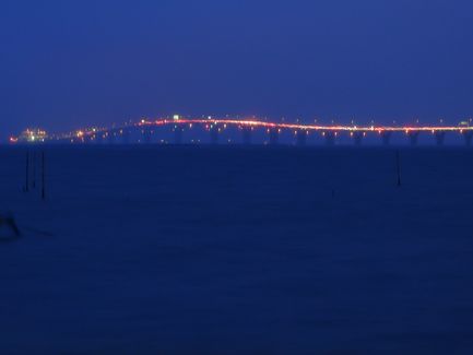 P1030818_01.jpg