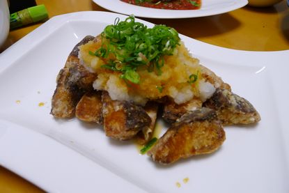 P1040058_d03.jpg