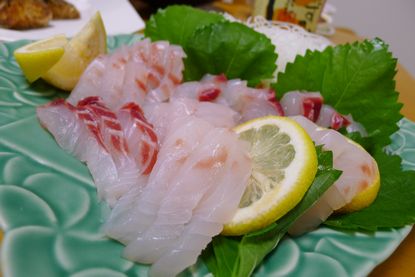 P1040063_d05.jpg