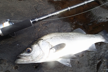 P3140083_03.jpg