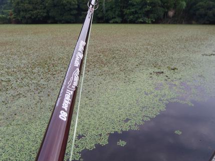 P7010039_pond.JPG