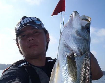 P7110066_seabass.JPG