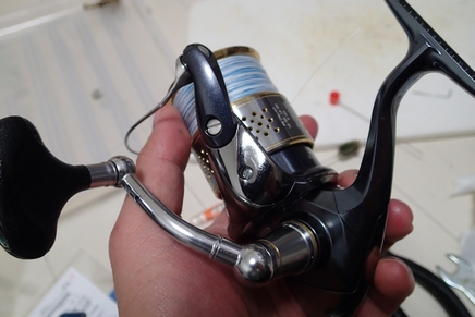 PC200059_4000SHG.jpg