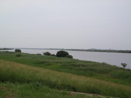 ToneRiv.JPG
