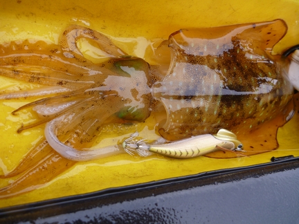 blog_P1010869.jpg